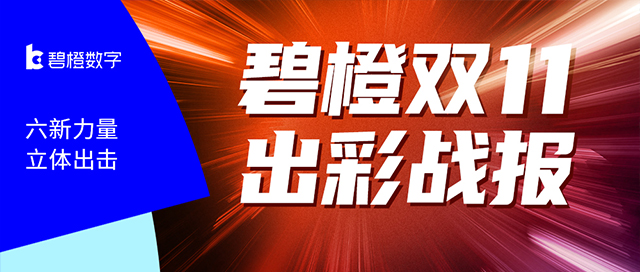 全域布局 全线开花<br>碧橙数字2021双11超燃战报